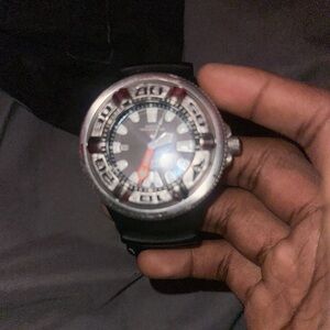 citizen watch ecozilla promaster big face